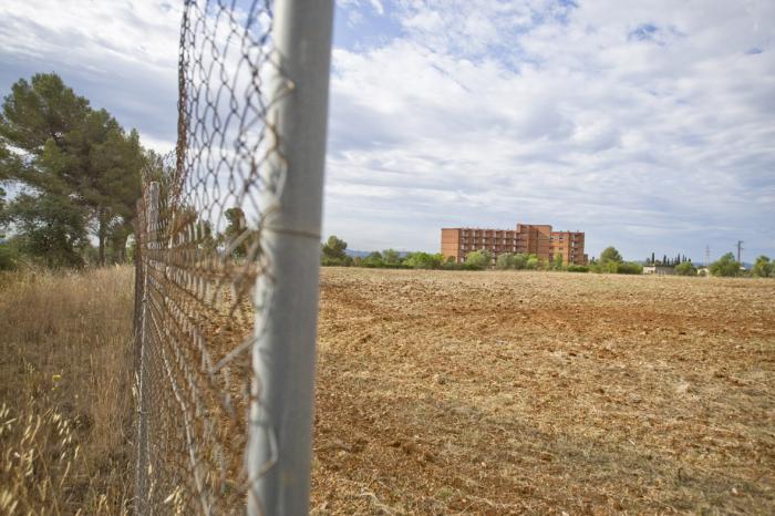 Terrenys Vinya Torre Mossen Homs Terrassa Nebridi Aróztegui (1)