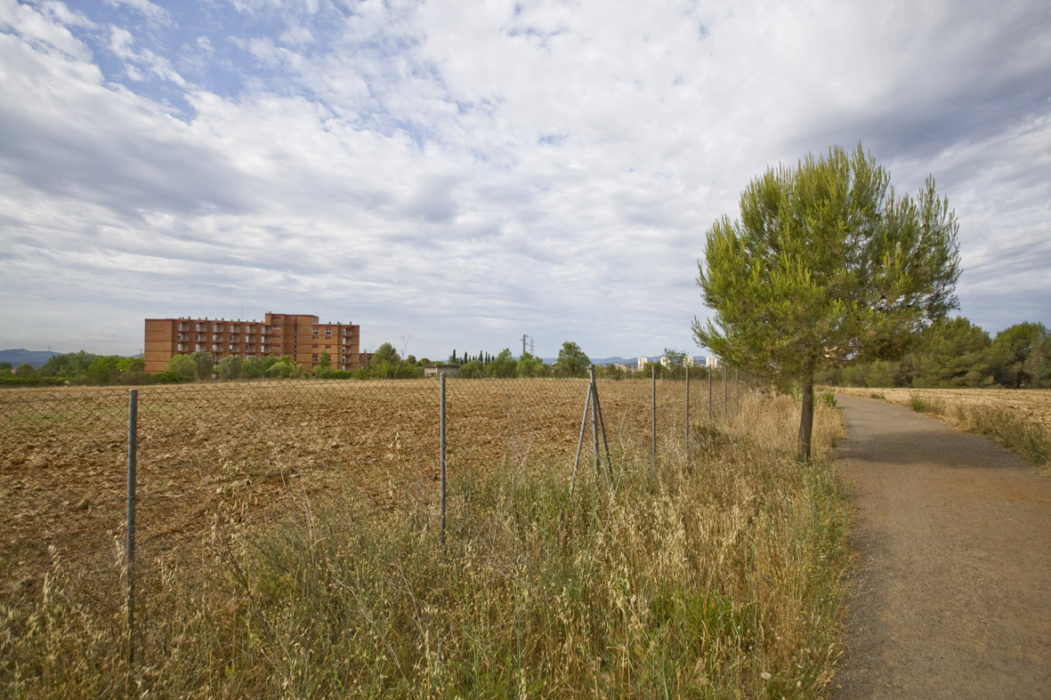 Terrenys Vinya Torre Mossen Homs Terrassa Nebridi Aróztegui (2)