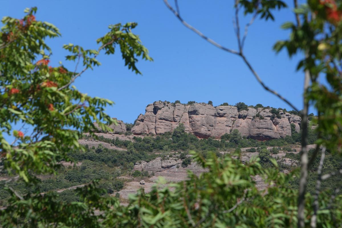 Parc Natural de Sant Llorenç