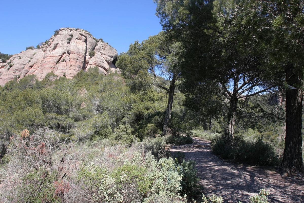 Parc Natural Sant Llorenç Camí dels Monjos