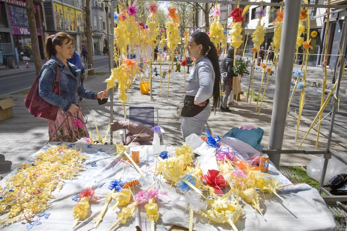 Palmes venta de palmons a la Rambla Nebridi Aróztegui (3)