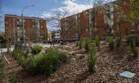 Remodelació plaça Miguel Hernández de Ca n'Anglada Terrassa Alberto Tallón (5)