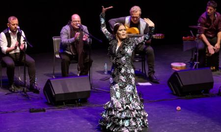 Festival de flamenc de Terrassa espectacle al Teatre Alegria Lluís Clotet (11)