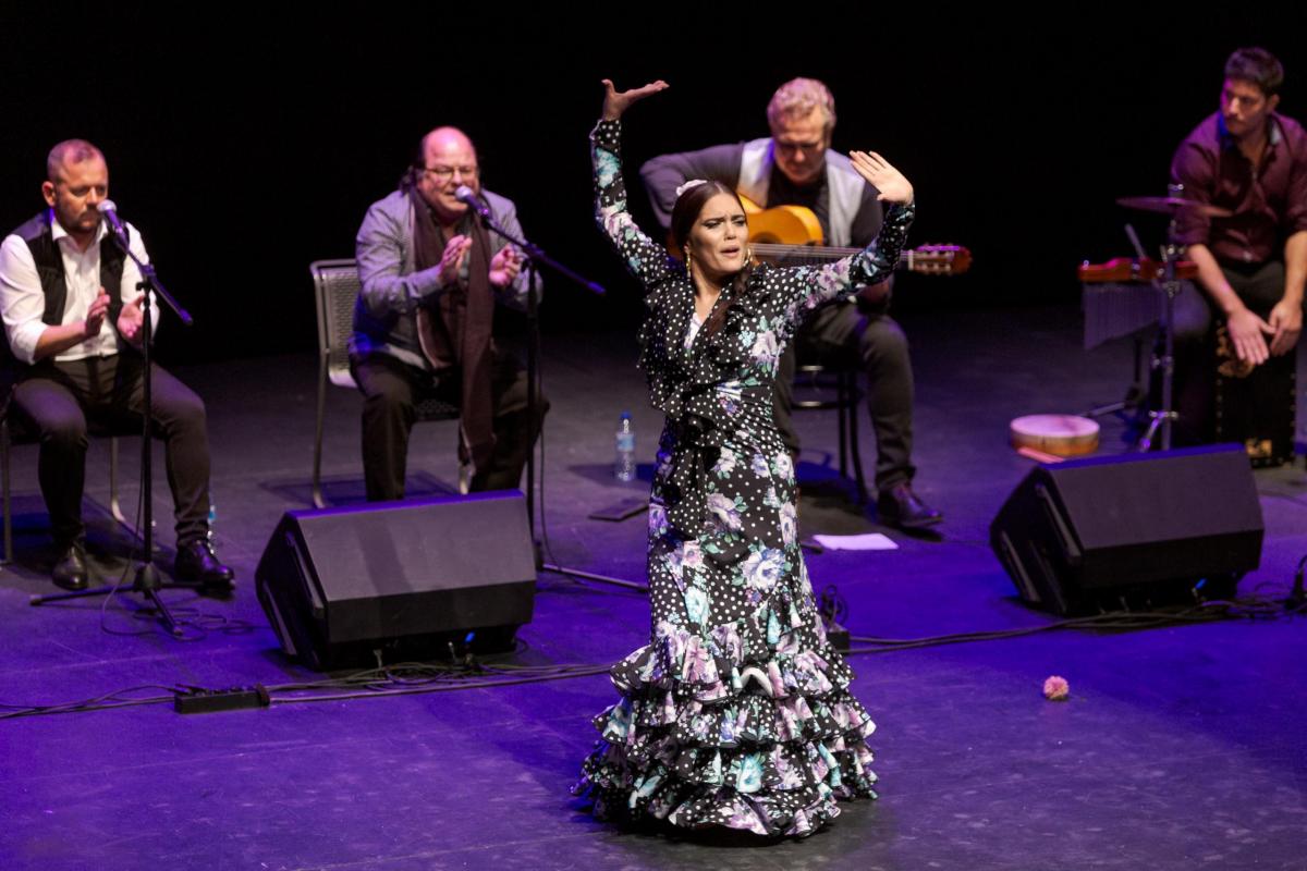 Festival de flamenc de Terrassa espectacle al Teatre Alegria Lluís Clotet (11)