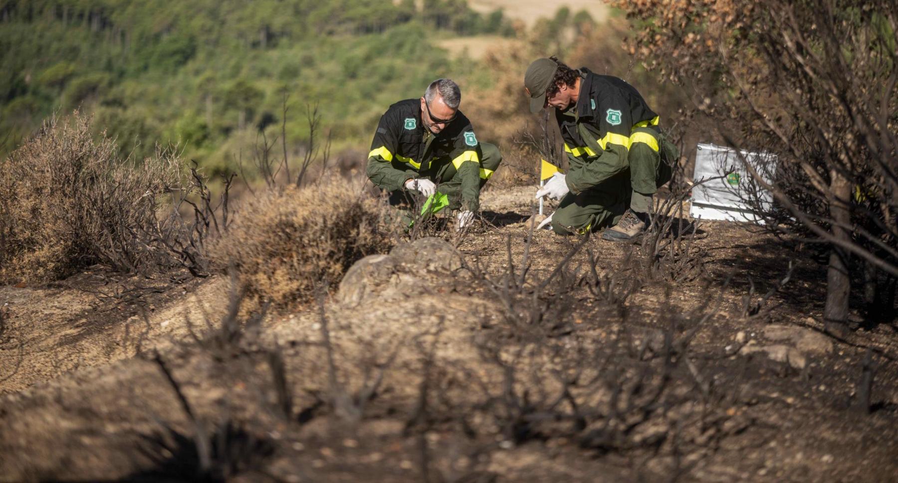 agents rurals incendi investigació